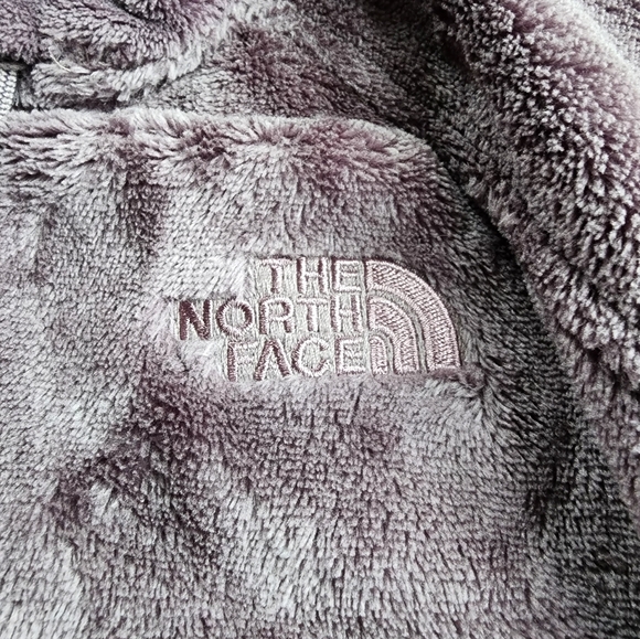 The North Face Osito Bellarine Hoodie - Picture 6 of 11